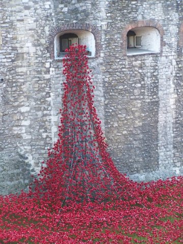 poppies tower